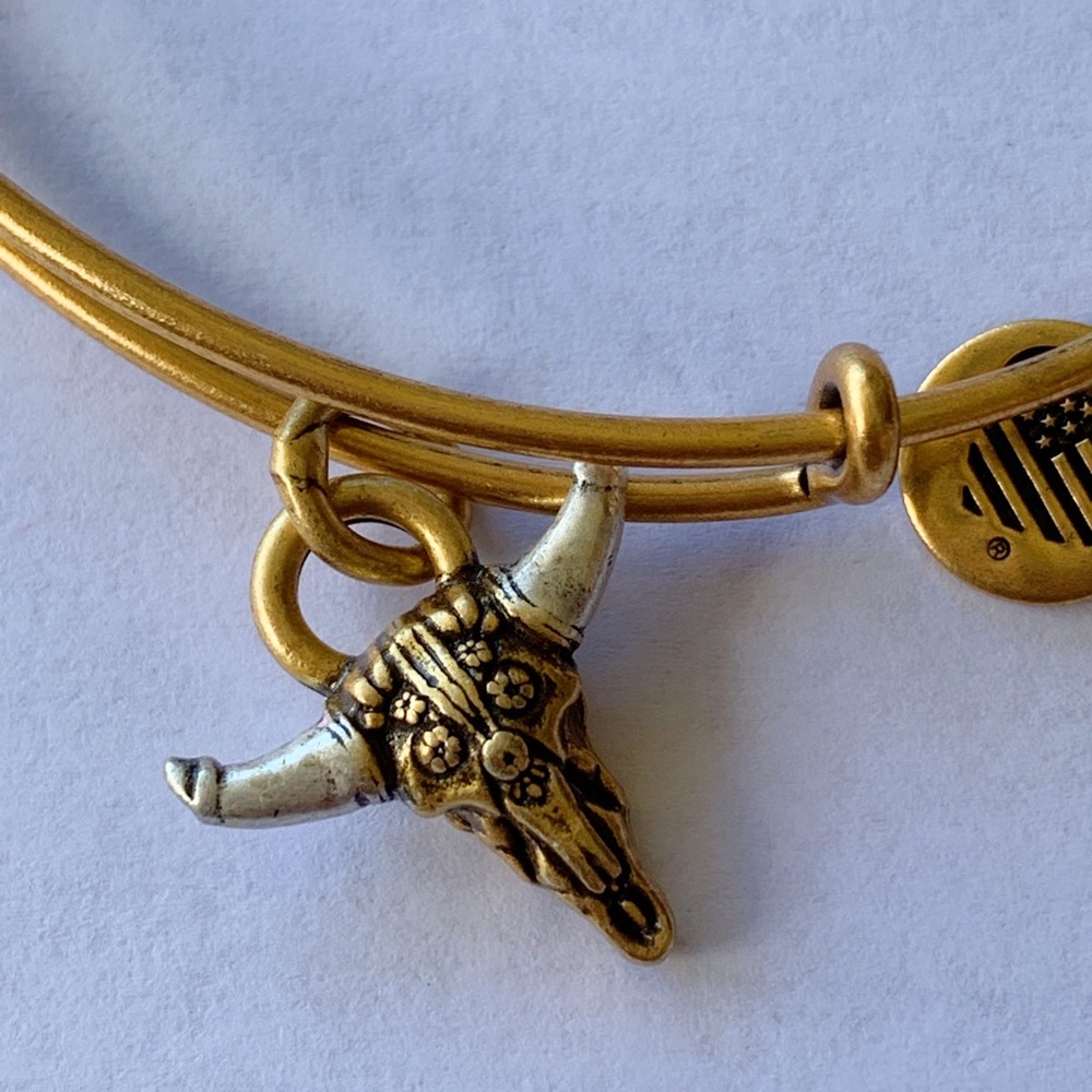Alex and Ani “Spirited Skull” bracelet